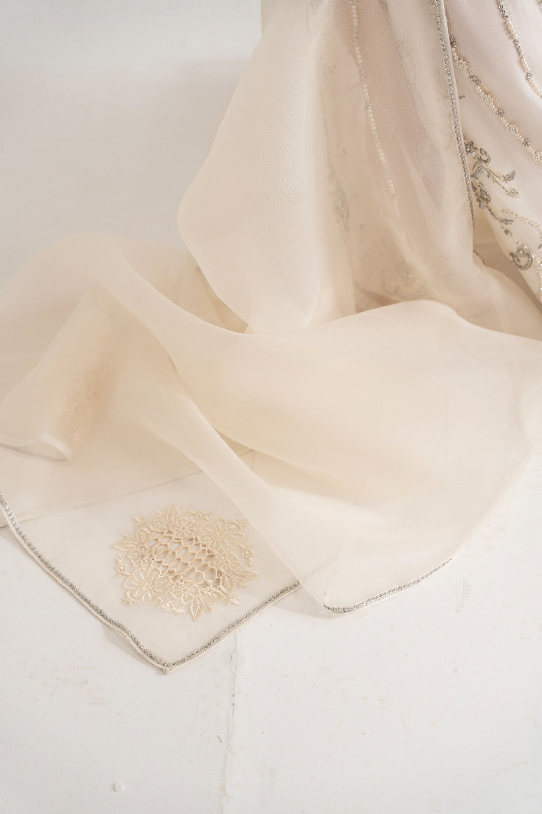 Ivory Embellished Pure Organza Salwar Kameez (3-Piece) - Image 2