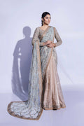 Pakistani Pastel Zardozi Net Saree with Silk Blouse (2-Piece) - Image 1
