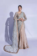 Pakistani Pastel Zardozi Net Saree with Silk Blouse (2-Piece) - Image 6