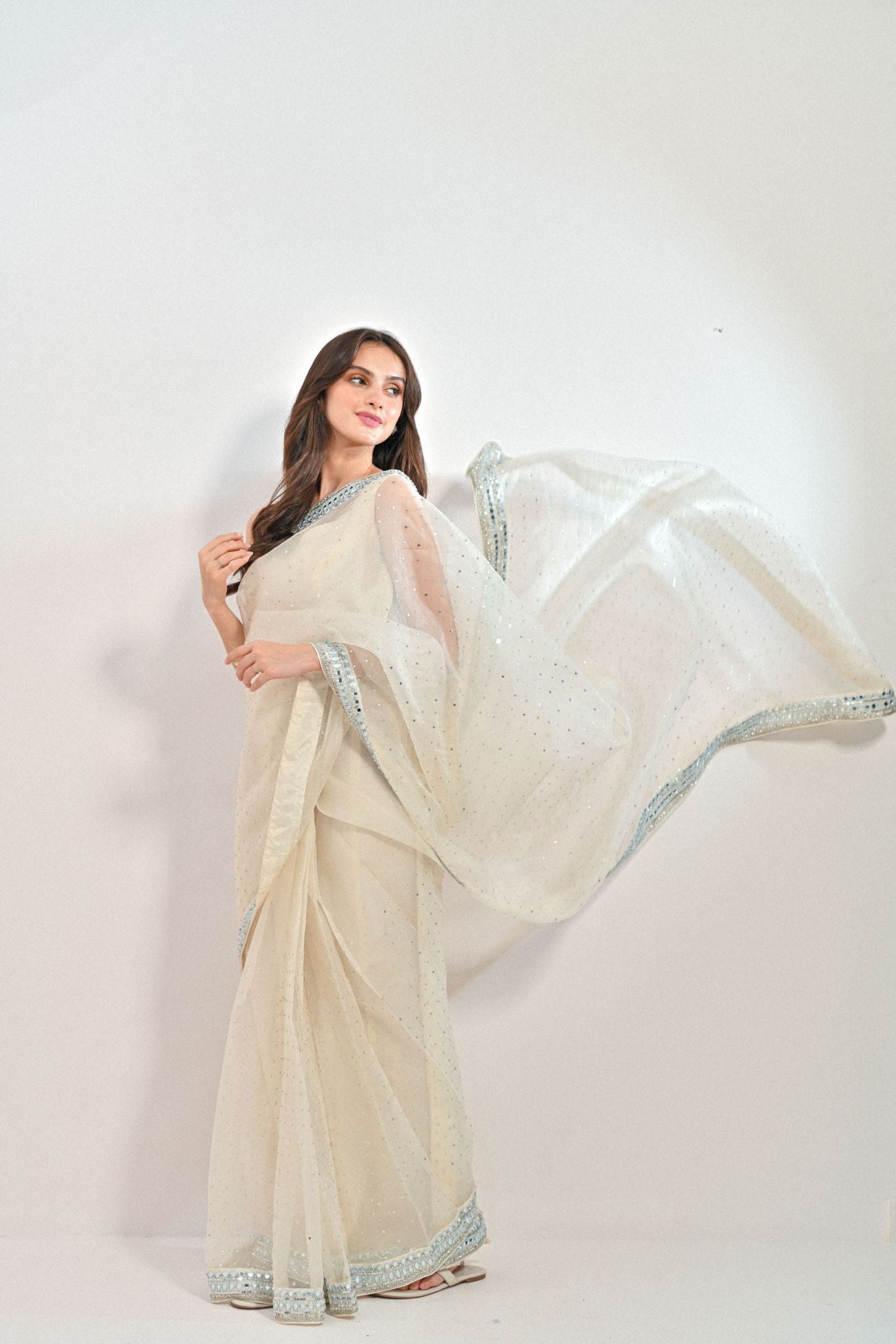 Ivory Silver Handwork Pure Organza Saree (2-Piece) - Image 2