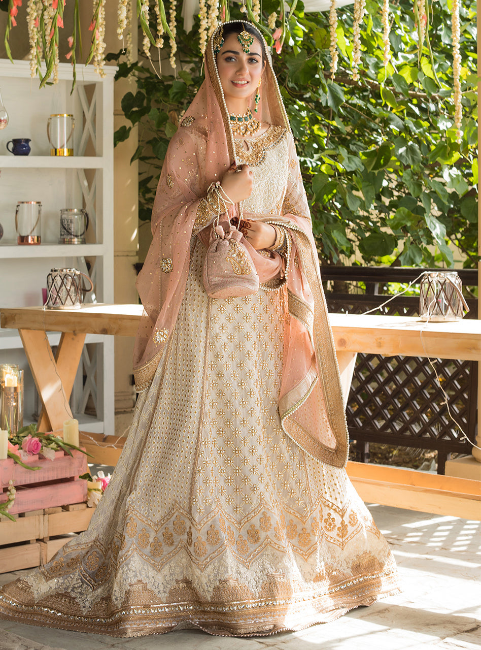 Pakistani Ivory Embroidered Net Bridal Gown (3-Piece) - Image 1