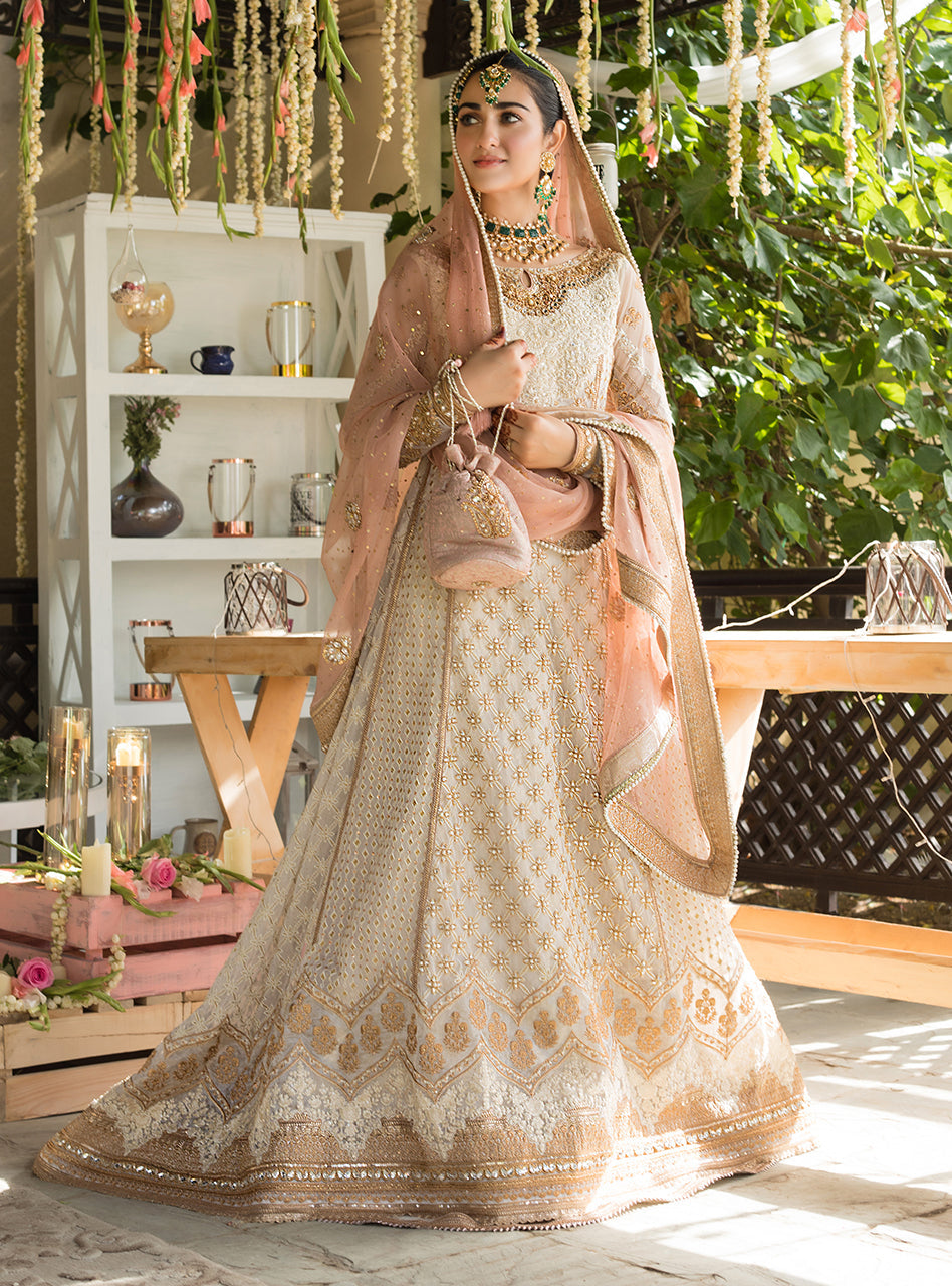 Pakistani Ivory Embroidered Net Bridal Gown (3-Piece) - Image 7