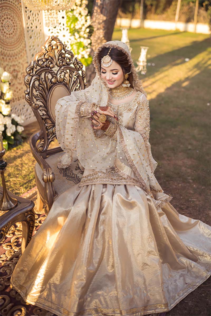 Ivory Antique Gold Embroidered Organza Sharara (3-Piece) - Image 2