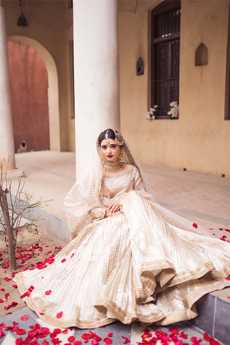 Ivory Antique Gold Embroidered Organza Sharara (3-Piece) - Image 4