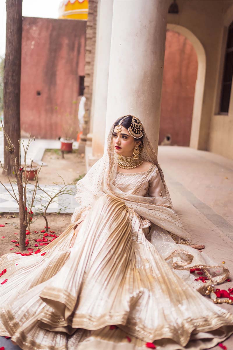 Ivory Antique Gold Embroidered Organza Sharara (3-Piece) - Image 5