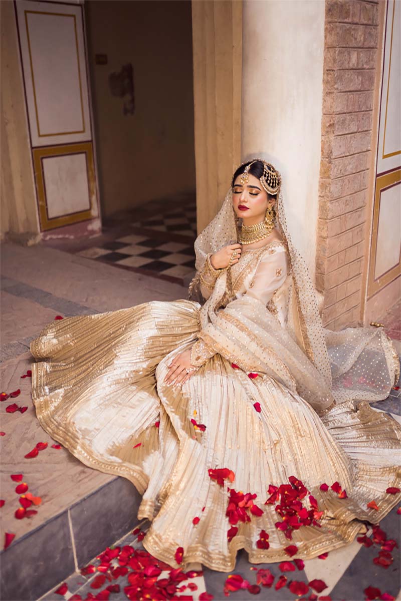 Ivory Antique Gold Embroidered Organza Sharara (3-Piece) - Image 6