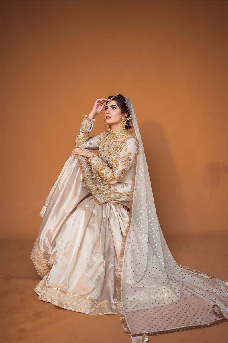 Pakistani Ivory Zardozi Organza Sharara Dress (3-Piece) - Image 7