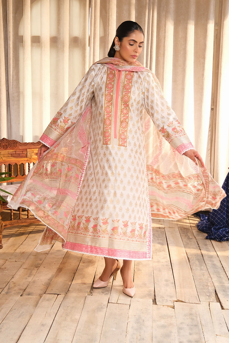 Ivory Block Printed Cotton Net Salwar Kameez (3-Piece) - Image 6