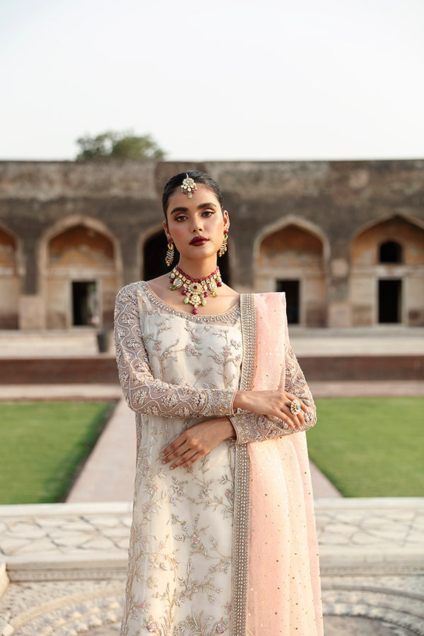 Pakistani Ivory Embroidered Net Organza Salwar Kameez (3-Piece) - Image 1