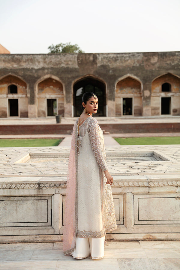 Pakistani Ivory Embroidered Net Organza Salwar Kameez (3-Piece) - Image 2