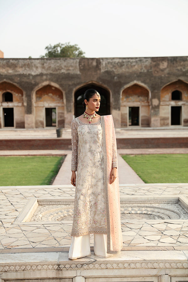 Pakistani Ivory Embroidered Net Organza Salwar Kameez (3-Piece) - Image 4