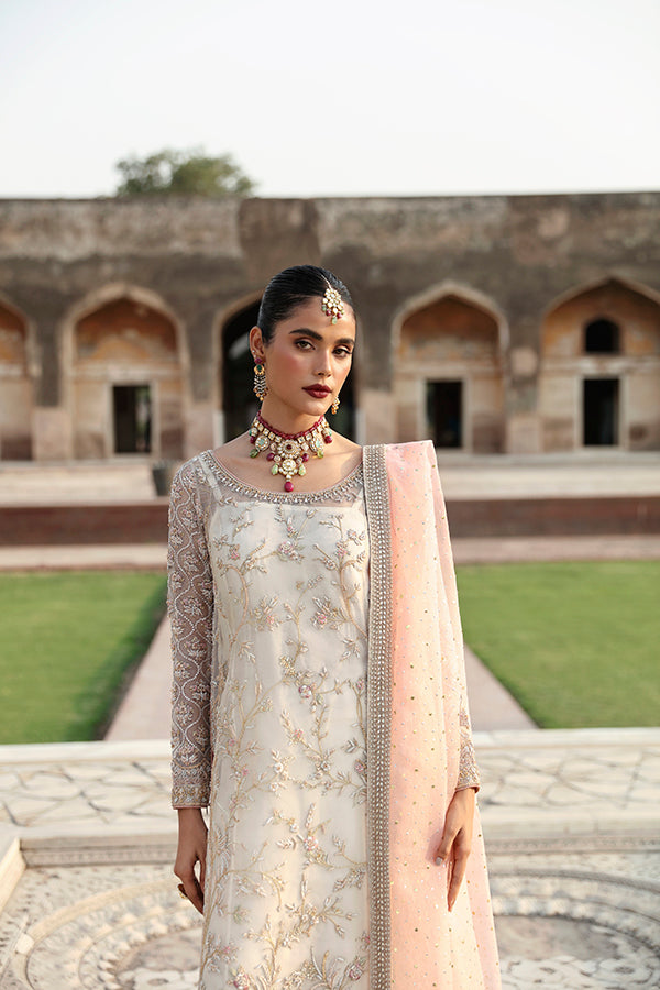 Pakistani Ivory Embroidered Net Organza Salwar Kameez (3-Piece) - Image 5