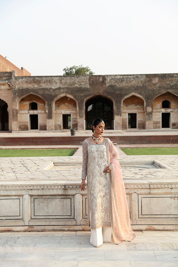 Pakistani Ivory Embroidered Net Organza Salwar Kameez (3-Piece) - Image 6