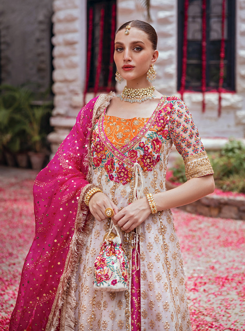 Pakistani Off-White Embroidered Organza Sharara (3-Piece) - Image 2