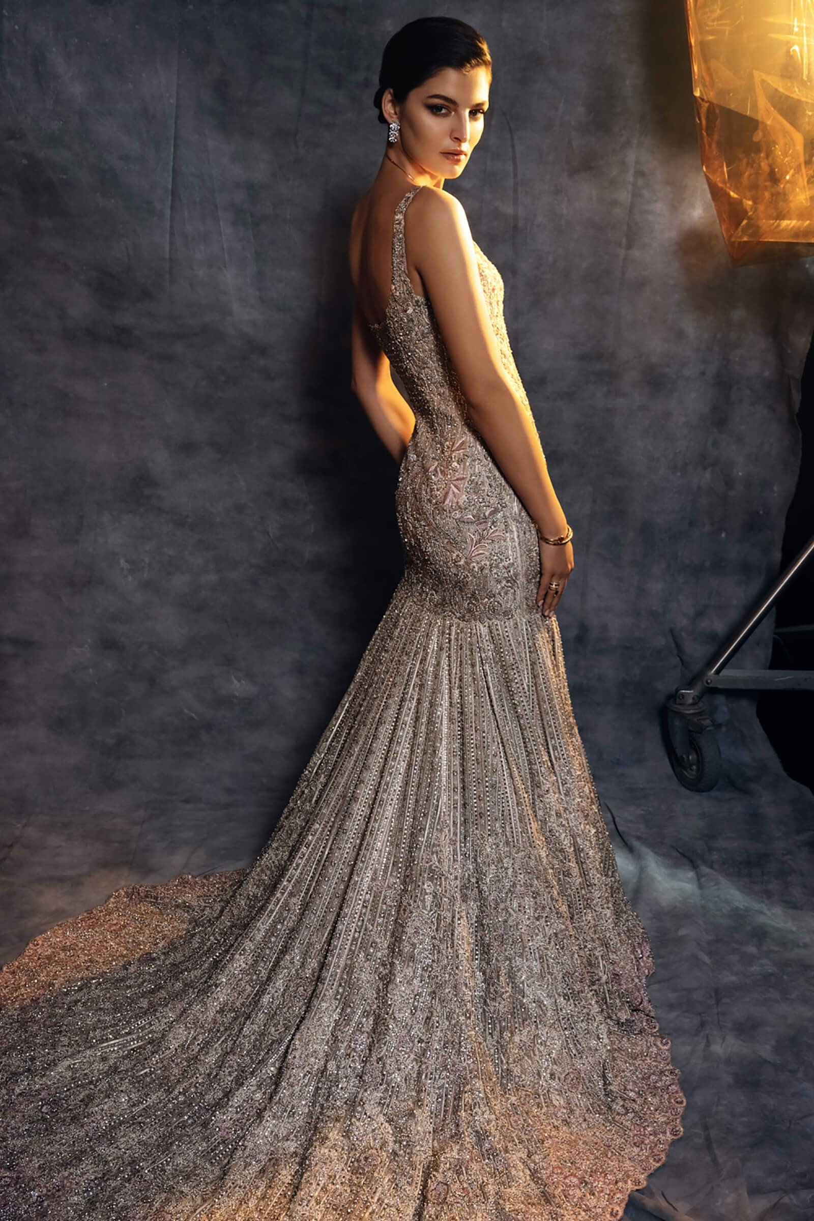 Pakistani Rosewood Metallic Embellished Net Mermaid Gown (1-Pc) - Image 1