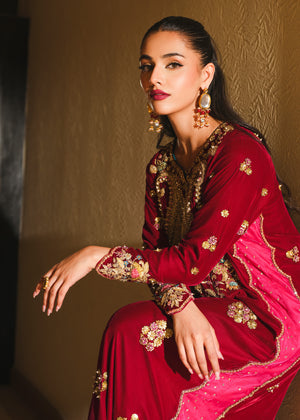 Pakistani Maroon Embellished Velvet Kaftan (1-Pc) - Image 3