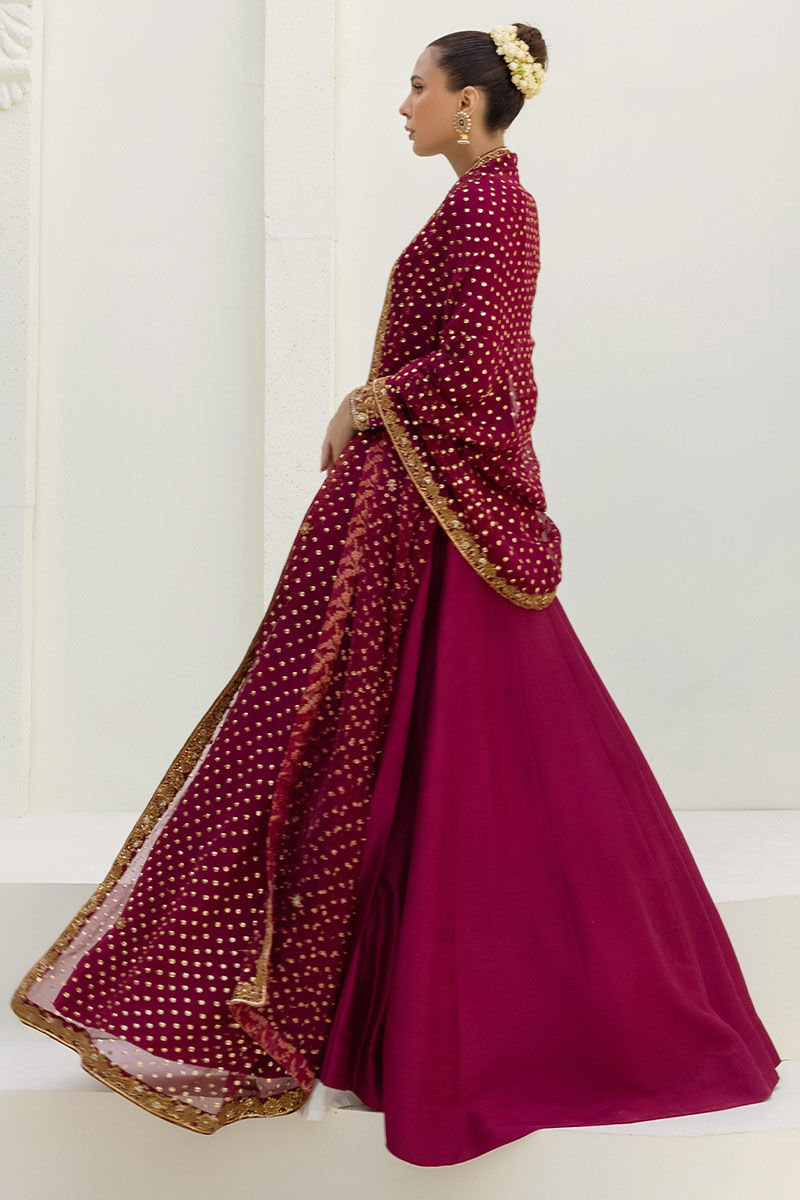 Pakistani Ox-Blood Gold Dabka Raw Silk Kalidar (2-Piece) - Image 3