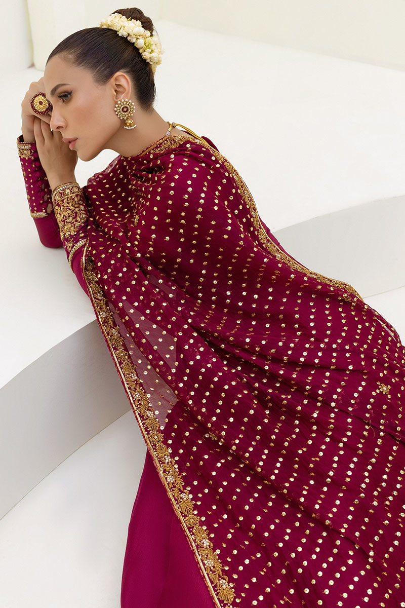 Pakistani Ox-Blood Gold Dabka Raw Silk Kalidar (2-Piece) - Image 4