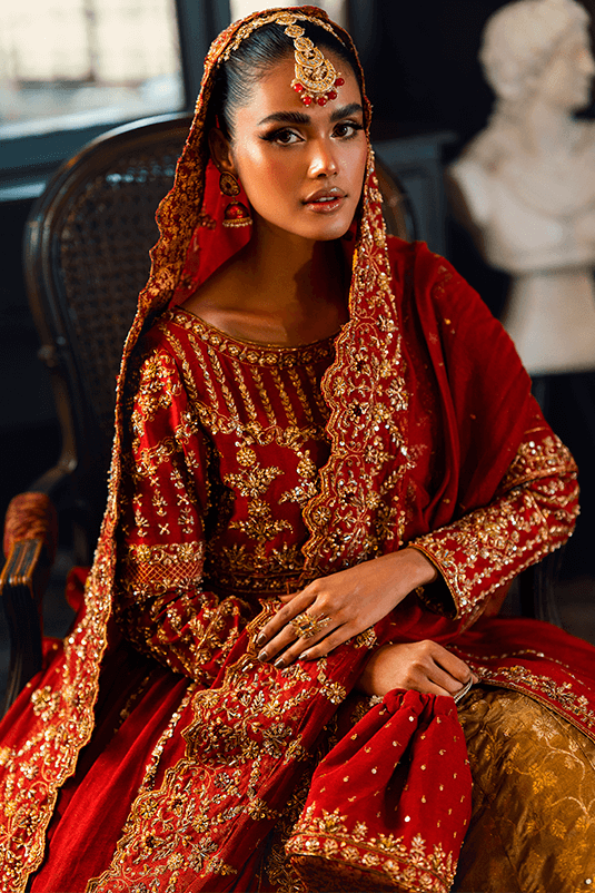 Maroon Zardozi Cotton Net Kalidar Peshwas (3-Piece) - Image 6