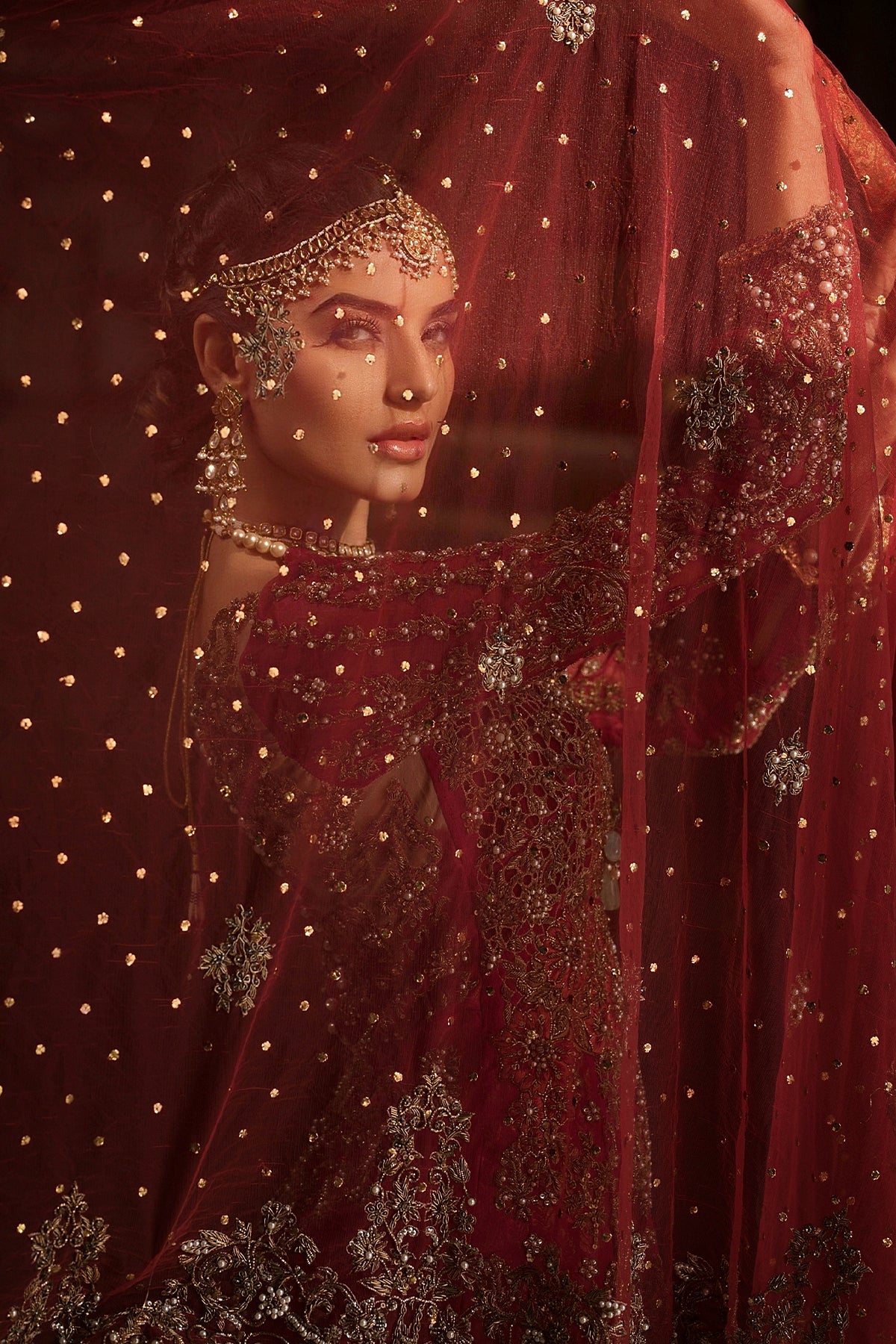 Maroon Zardozi Organza Gown with Jamawar Lehenga (3-Piece) - Image 5