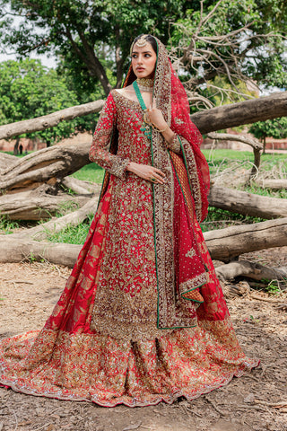 Pakistani Maroonish Red Embroidered Net & Velvet Bridal Lehenga (3-Piece) - Image 2