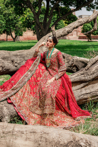 Pakistani Maroonish Red Embroidered Net & Velvet Bridal Lehenga (3-Piece) - Image 4