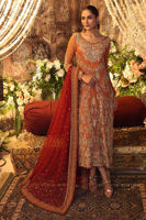 Pakistani Rust Zardozi Embroidered Net Salwar Kameez (3-Piece) - Image 3
