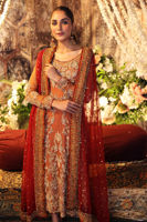 Pakistani Rust Zardozi Embroidered Net Salwar Kameez (3-Piece) - Image 5