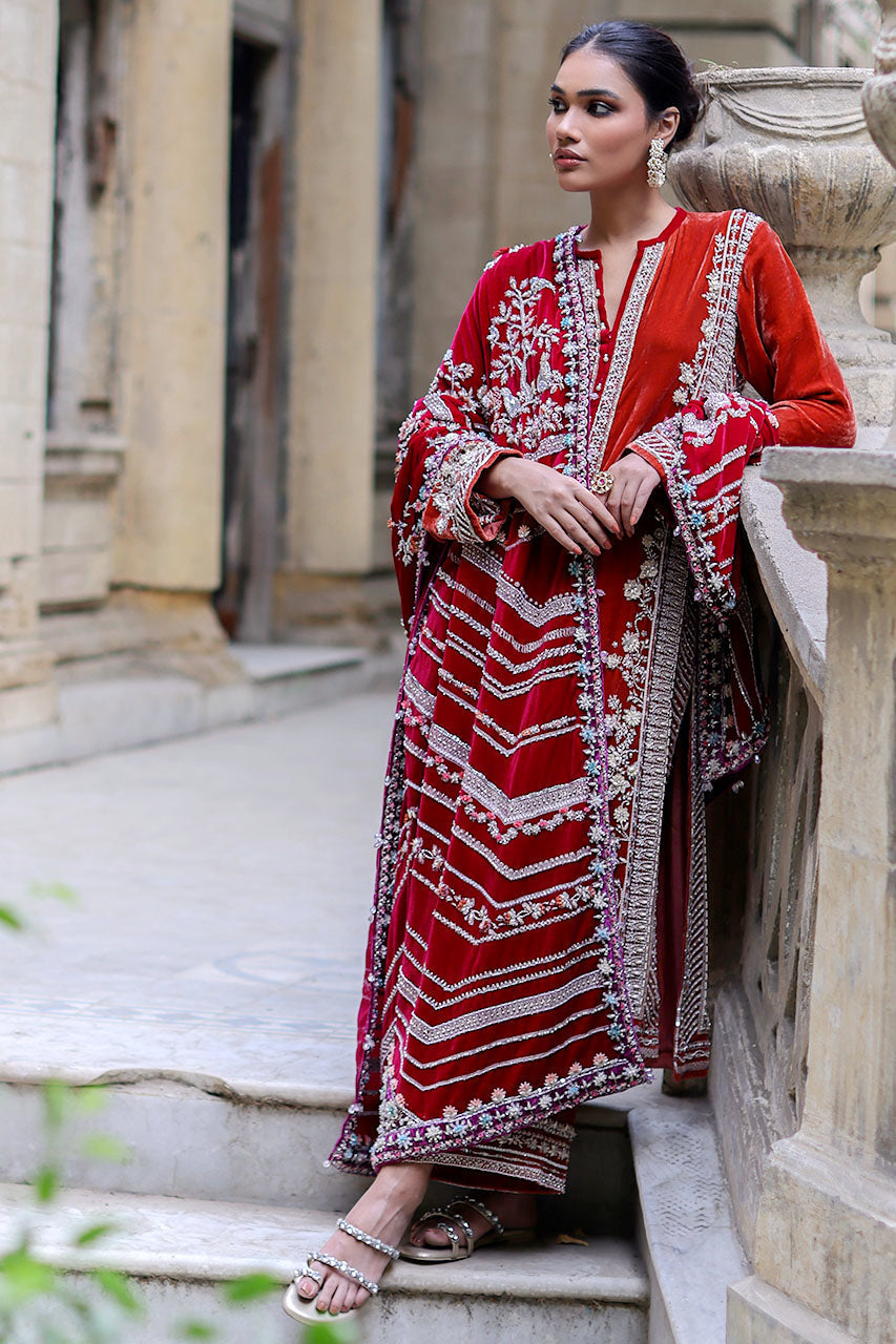 Pakistani Rust 3D Hand Embroidered Velvet Salwar Kameez (3-Piece) - Image 4