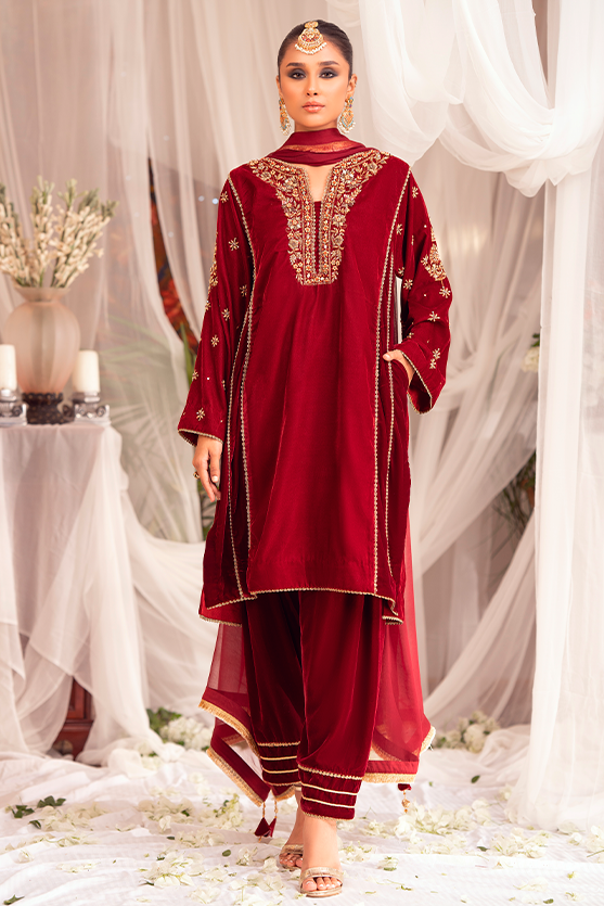 Maroon Zardozi Velvet Salwar Kameez (3-Piece) - Image 2