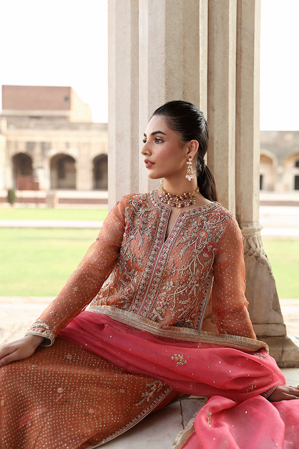 Pakistani Rust Zari Net Salwar Kameez (3-Piece) - Image 1