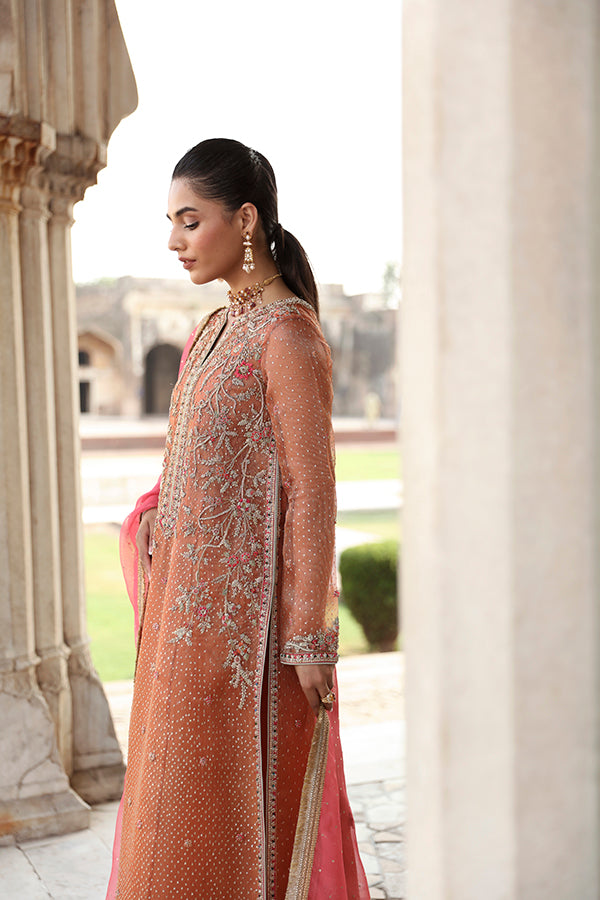 Pakistani Rust Zari Net Salwar Kameez (3-Piece) - Image 3