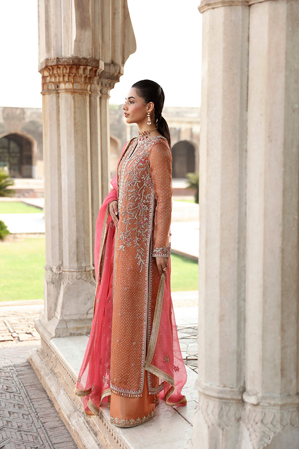 Pakistani Rust Zari Net Salwar Kameez (3-Piece) - Image 4