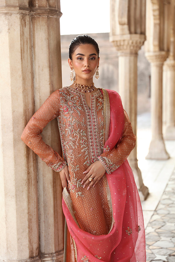 Pakistani Rust Zari Net Salwar Kameez (3-Piece) - Image 6