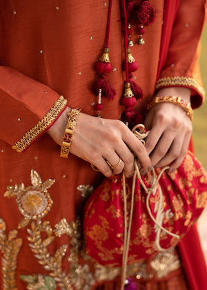 Pakistani Rust Embroidered Korean Silk Sharara (3-Piece) - Image 4