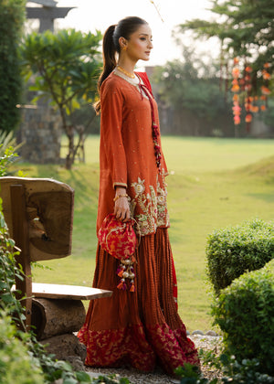 Pakistani Rust Embroidered Korean Silk Sharara (3-Piece) - Image 5