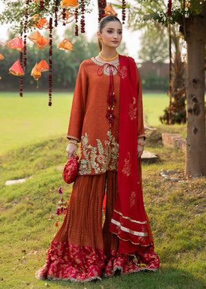 Pakistani Rust Embroidered Korean Silk Sharara (3-Piece) - Image 7