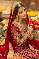 Maroon Zardozi Silk Net Bridal Sharara (3-Piece) - Image 10