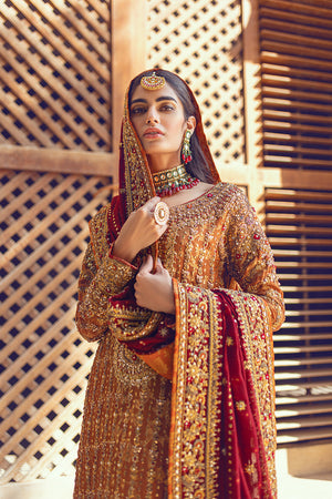 Rust Zardozi Silk Net Sharara Set (3-Piece) - Image 5