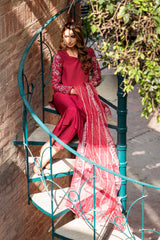 Pakistani Garnet Naqshi Raw Silk Salwar Kameez (2-Piece) - Image 2
