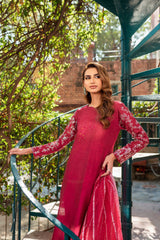 Pakistani Garnet Naqshi Raw Silk Salwar Kameez (2-Piece) - Image 7