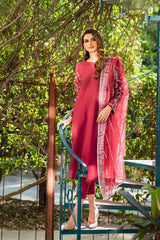 Pakistani Garnet Silver Naqshi Raw Silk Salwar Kameez (3-Piece) - Image 4