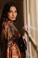 Pakistani Maroon Handworked Velvet Salwar Kameez (3-Piece) - Image 6