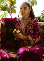 Deep Berry Hand-Worked Velvet Salwar Kameez (3-Piece) - Image 6