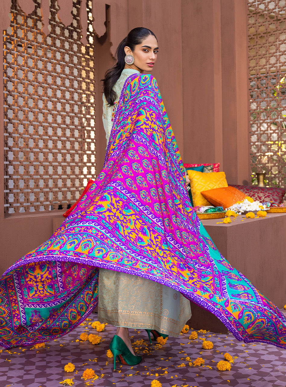 Pastel Mint Block Print Chiffon Salwar Kameez (3-Piece) - Image 3