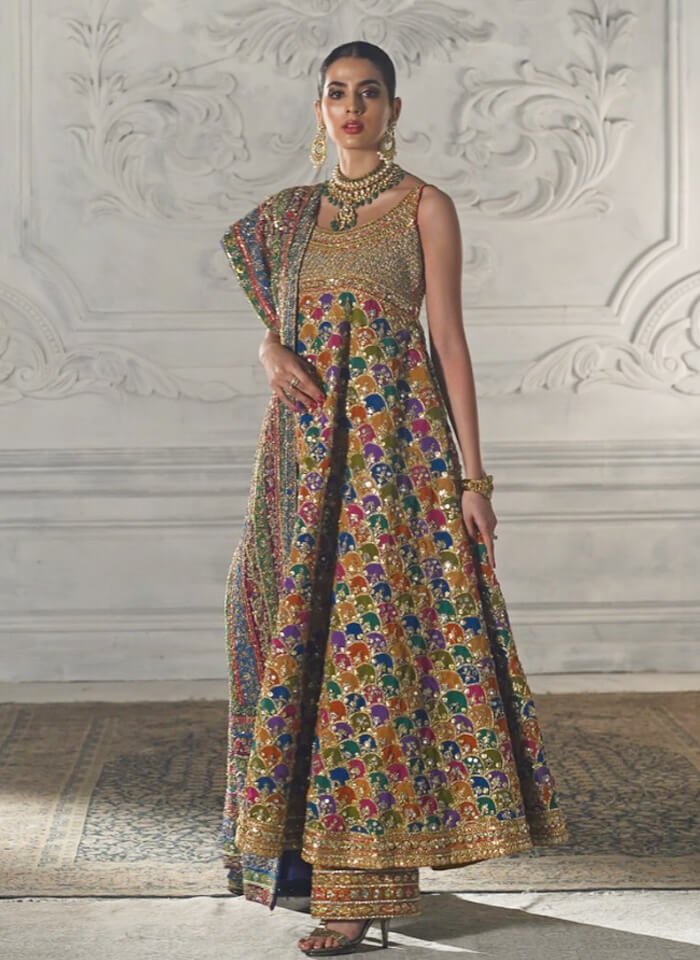 Multi-Coloured Zardozi Chiffon Pishwas (3-Piece) - Image 1