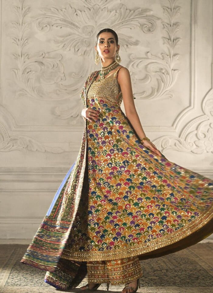 Multi-Coloured Zardozi Chiffon Pishwas (3-Piece) - Image 3