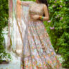 Pakistani Multicolour Embroidered Organza & Tissue Lehenga (3-Piece) - Image 2