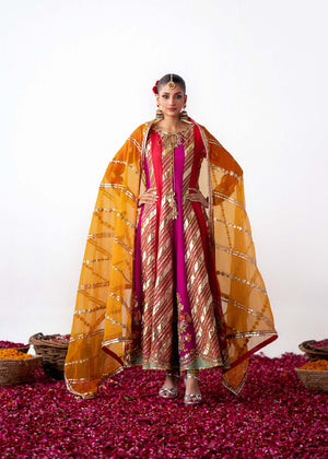 Pakistani Multicolour Embroidered Organza Pishwas Dress (3-Piece) - Image 3