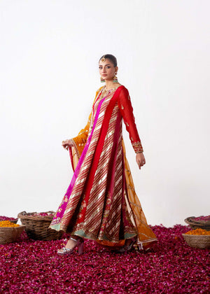 Pakistani Multicolour Embroidered Organza Pishwas Dress (3-Piece) - Image 4